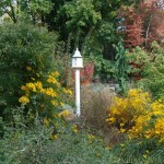 Bird house in garden