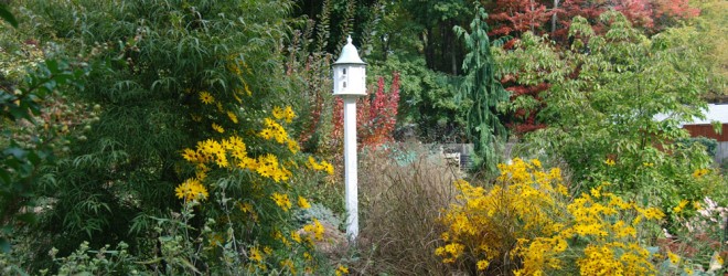Bird house in garden Bird house in garden
