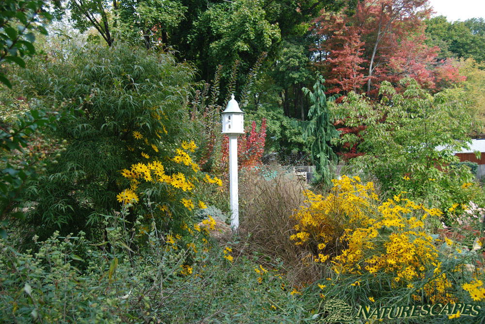 Garden Design in Chester County  Naturescapes Landscaping of Paoli PA