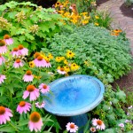 Garden with Bird Feeder Garden with Bird Feeder