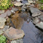 Garden pond