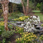 Garden with Pond Garden with Pond