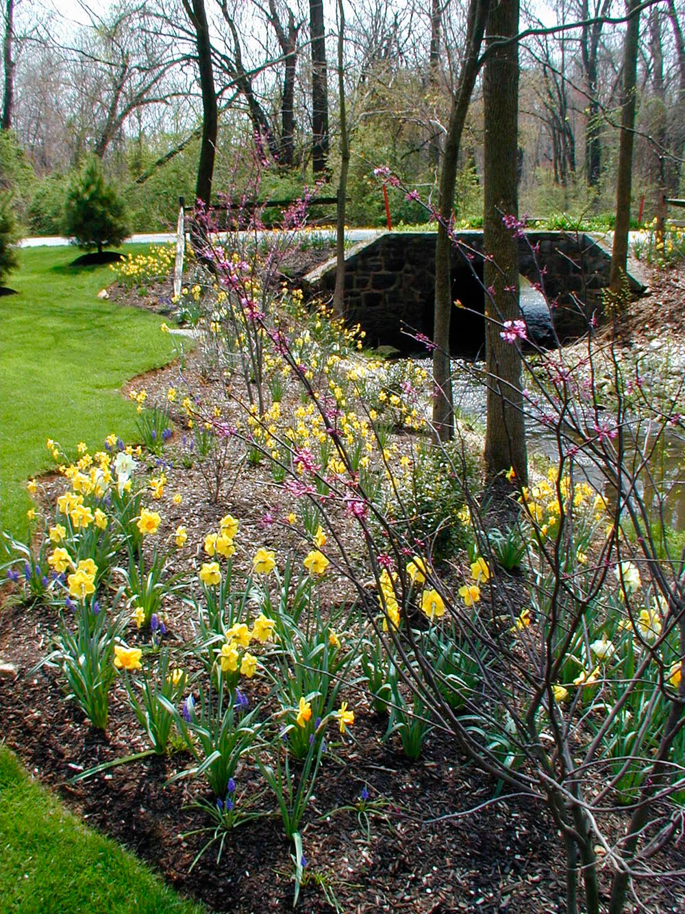 Garden Design in Chester County Naturescapes Landscaping of Paoli PA