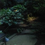 Lighting in Garden
