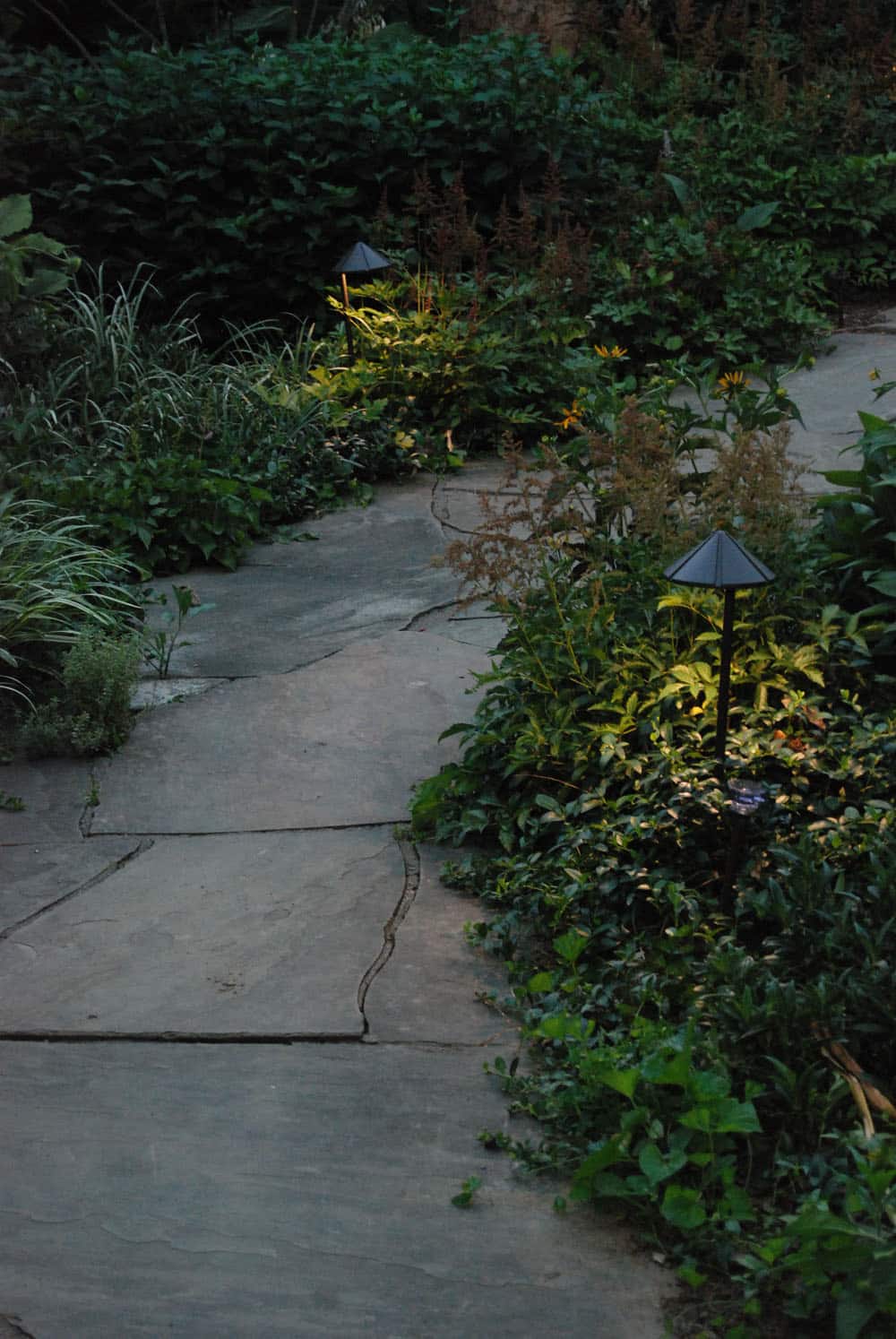 Landscape Lighting in Chester County Naturescapes Landscaping of