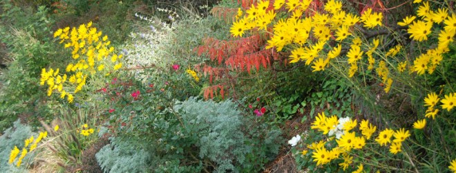 Garden Landscape