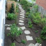 Side Pathway Side Pathway