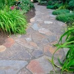 Pathway Pathway through garden