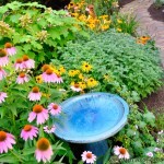 Garden Bird Bath Garden Bird Bath