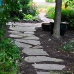 Pathway Pathway through garden