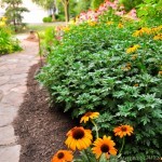 Walkway Garden Walkway