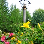 Lamp Post Lamp Post in Garden