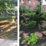 Wynewood Front Yard Landscaping