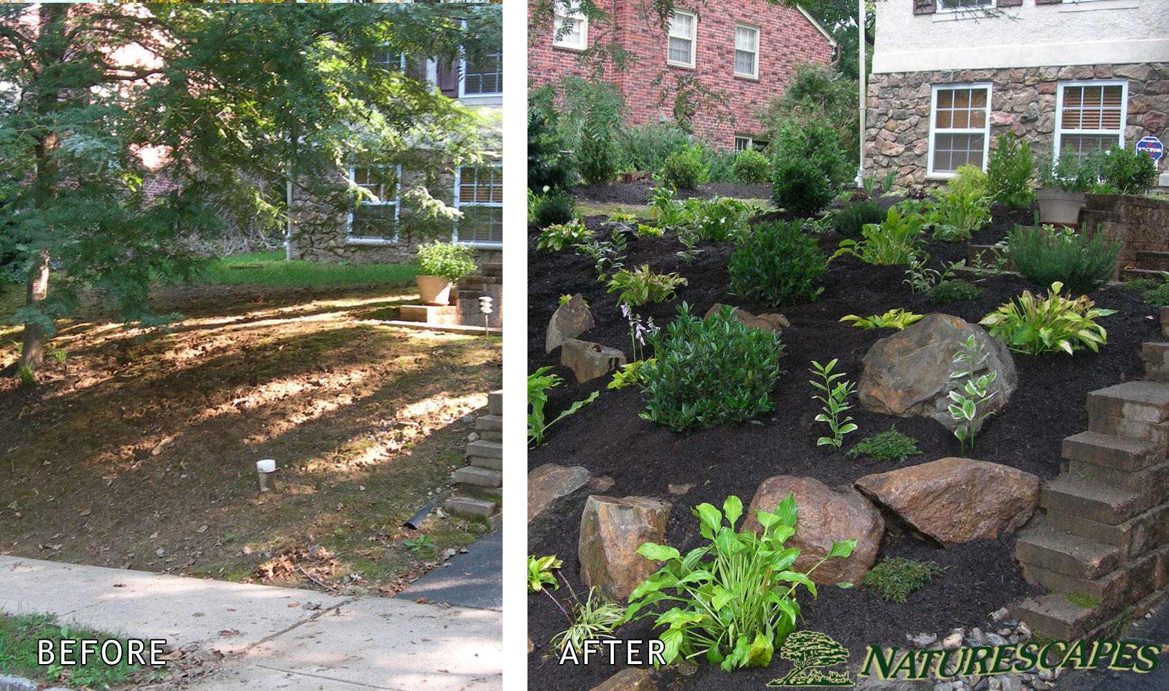 Front Garden Before/After - Naturescapes
