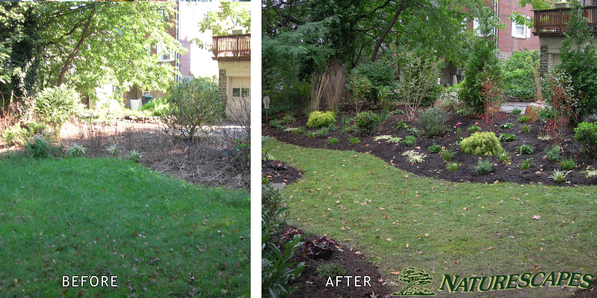 Backyard Landscaping Before and After