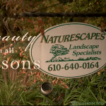 Naturescapes Landscaping Video