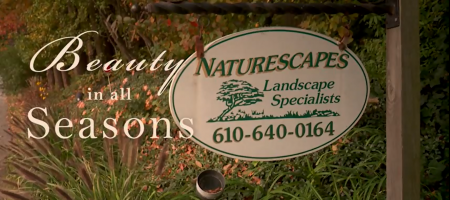 Naturescapes Landscaping Video