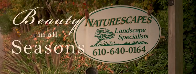 Naturescapes Landscaping Video