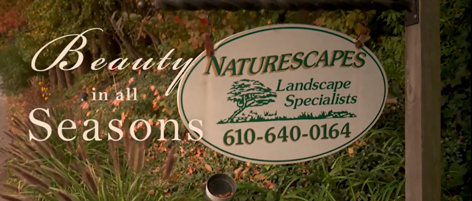 <h1>Watch our video "Beauty in All Seasons"</h1><p>See our beautiful work come alive as we feature gardens and landscapes from Wayne, Paoli and more in all four seasons.
</p> Naturescapes Landscaping Video