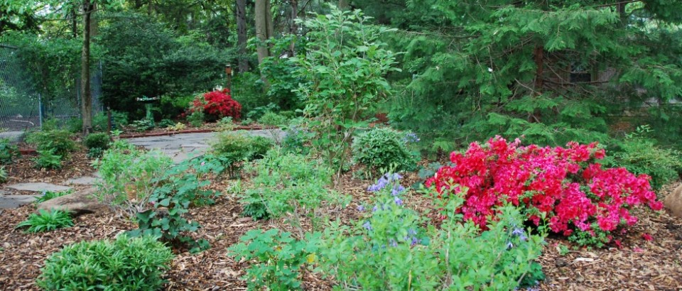 <h1>Landscape Design in Delaware County</h1><p>
Naturescapes provides Delaware County with quality environmental landscaping, specializing in garden, patio, pathway, and lighting designs. The...</p> Media Home Garden After