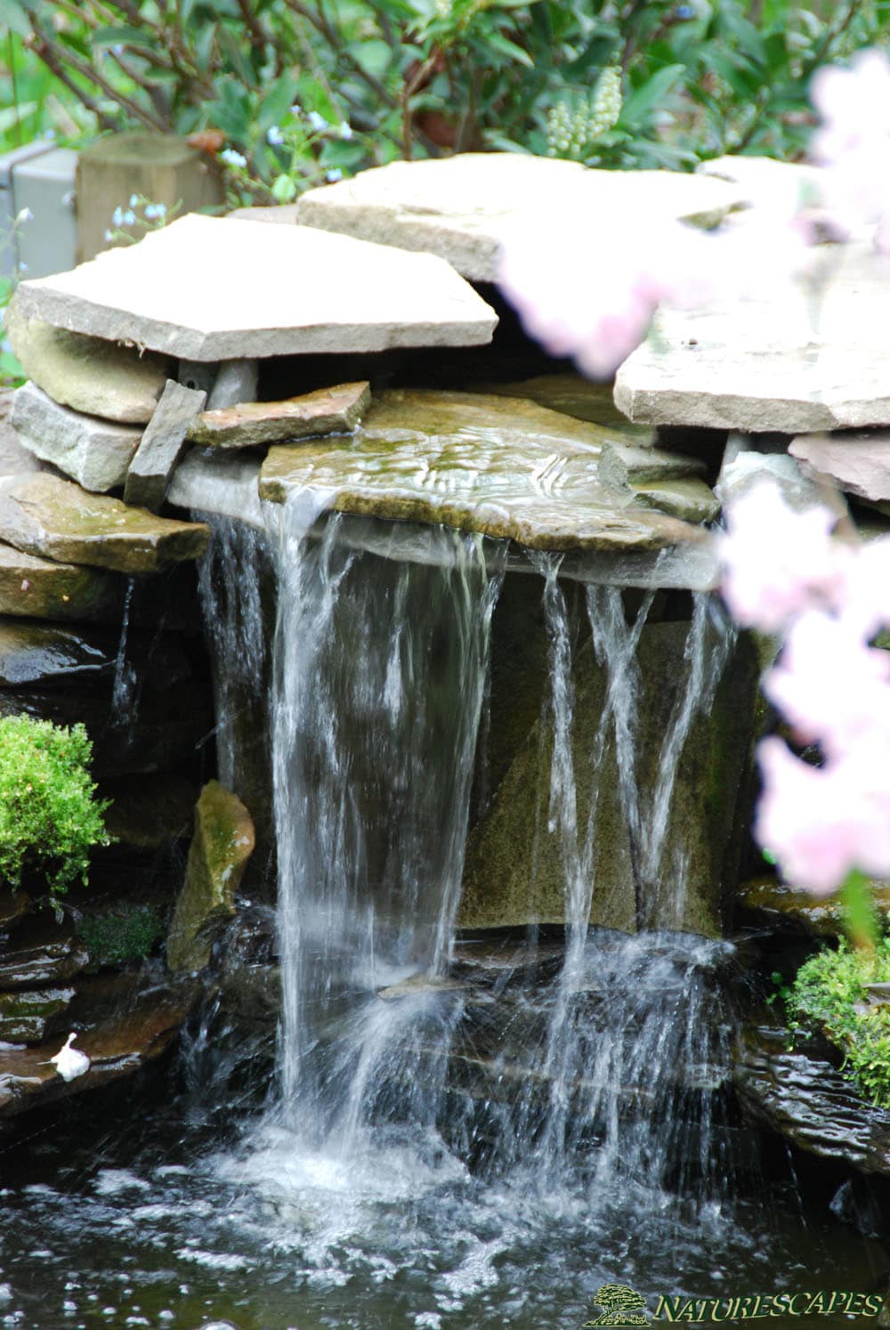 Garden, Ponds \u0026 Waterfalls in Chester County  Naturescapes, Paoli PA