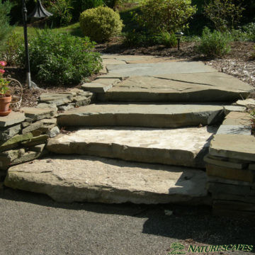 Stone Slab Steps