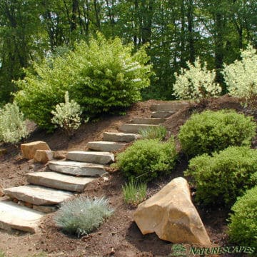 Capstone Steps