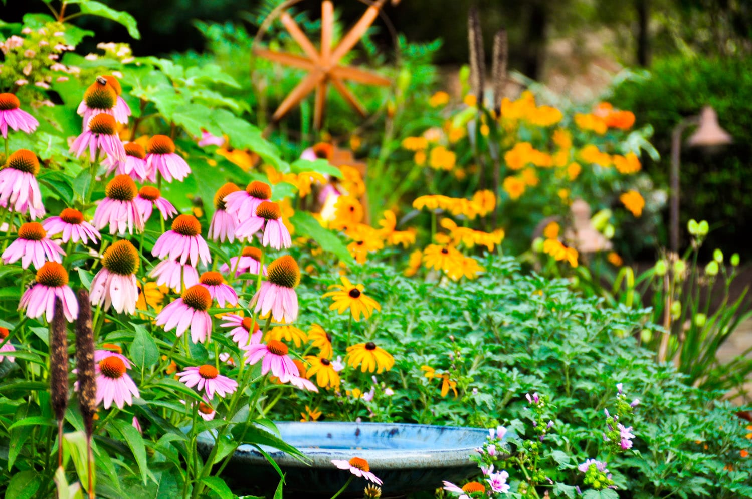 Garden Design in Chester County Naturescapes Landscaping of Paoli PA