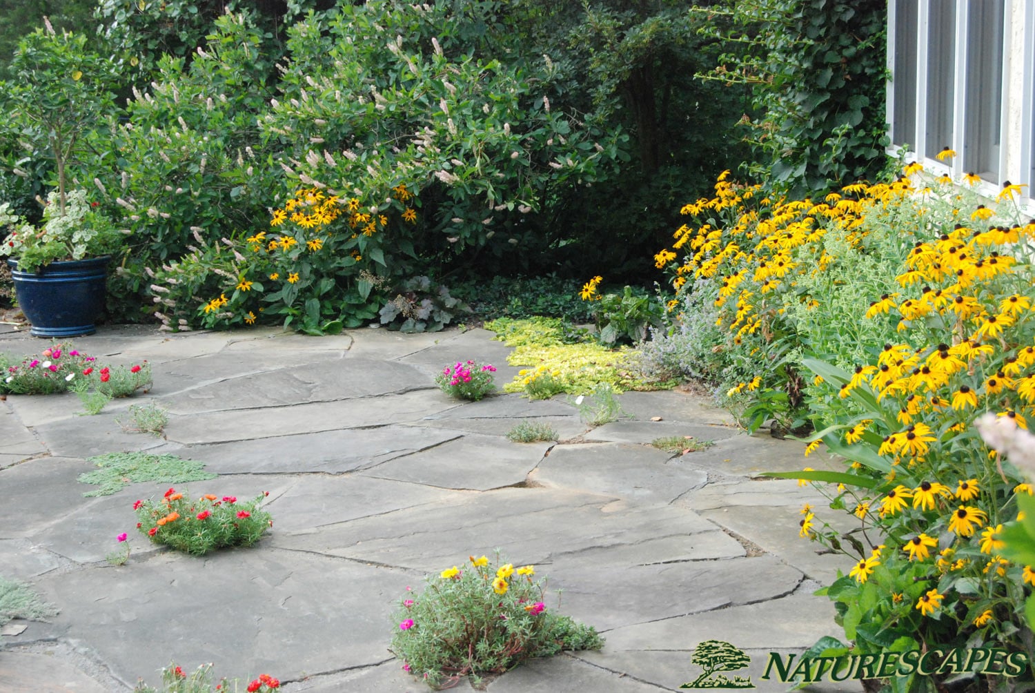 Outdoor Patios in Chester County Naturescapes Landscaping of Paoli, PA