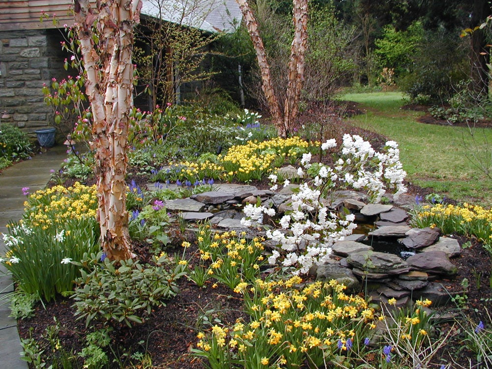 Garden Design in Chester County Naturescapes Landscaping of Paoli PA