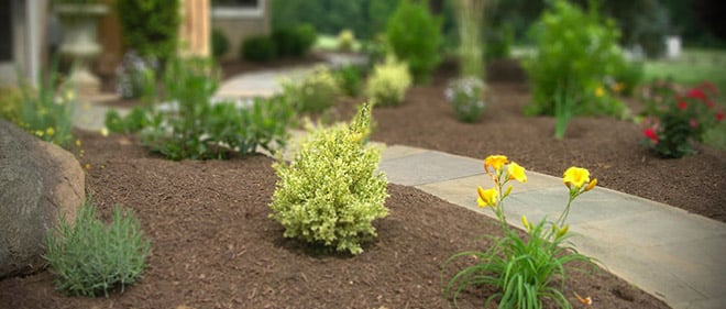 Environmentally Friendly Garden