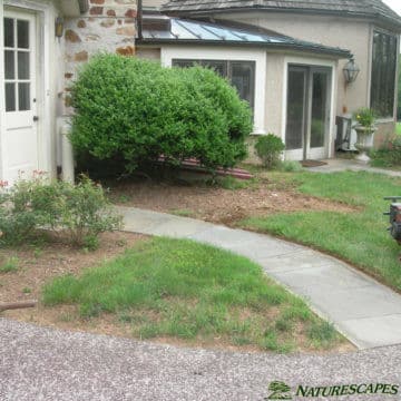 Front Walkway Malvern