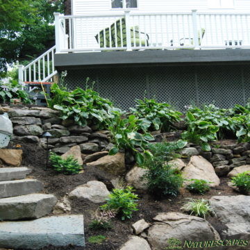 Stone Stairway and Garden for water mitigation