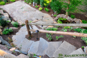 Stone Stairs and Patio