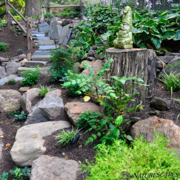 Stairway Backyard Landscaping