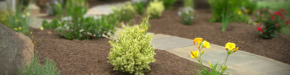 Garden with Natural Walkway in Malvern