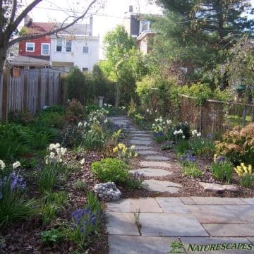 Spring Garden in Phoenixville