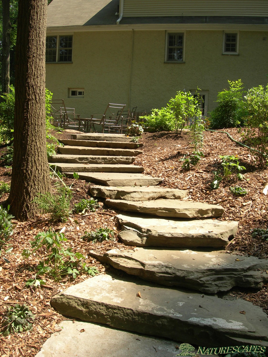 Naturescapes Landscaping Portfolio Gallery