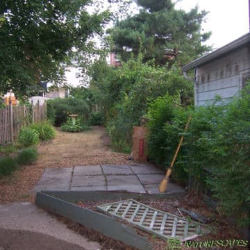 Phoenixville Patio Landscaping Before