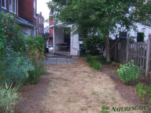 Phoenixville Landscaping Before
