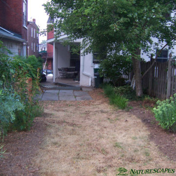 Phoenixville Landscaping Before