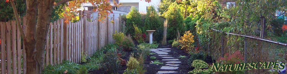 Phoenixville backyard landscape