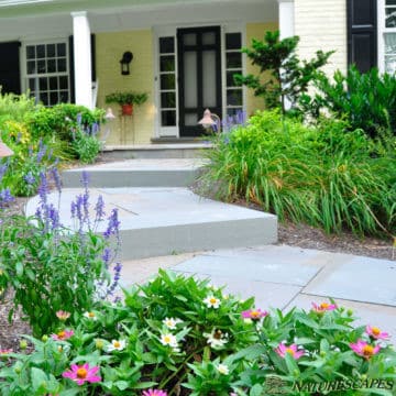 Flagstone Pathway with Bluestone steps