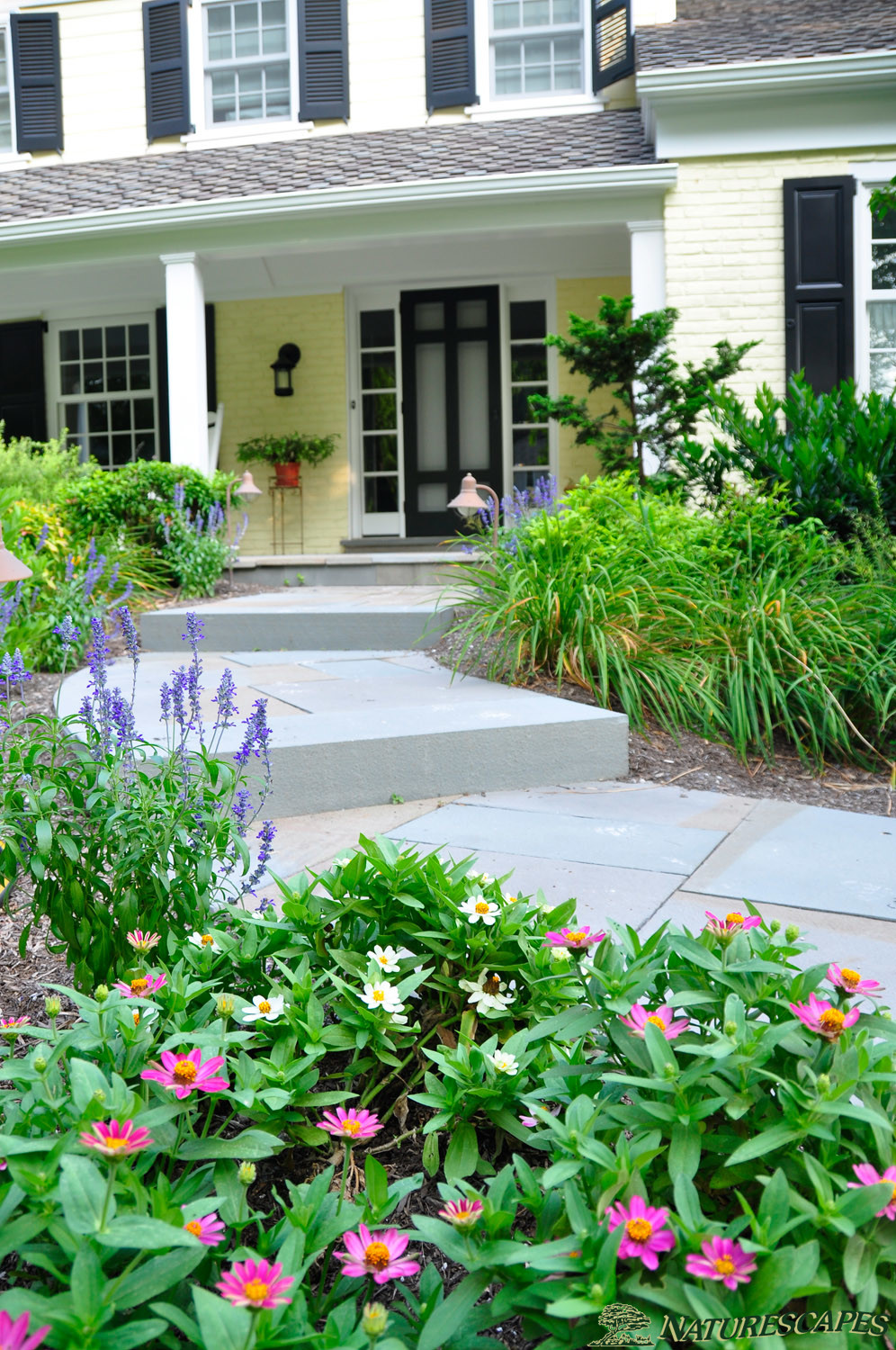 Flagstone Pathway with Bluestone steps