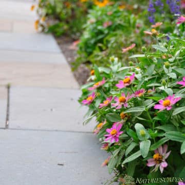 Stone Walkway