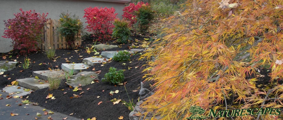 Walkway Landscaping Wayne Walkway Landscaping Wayne