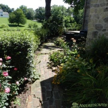 Pathway to front door