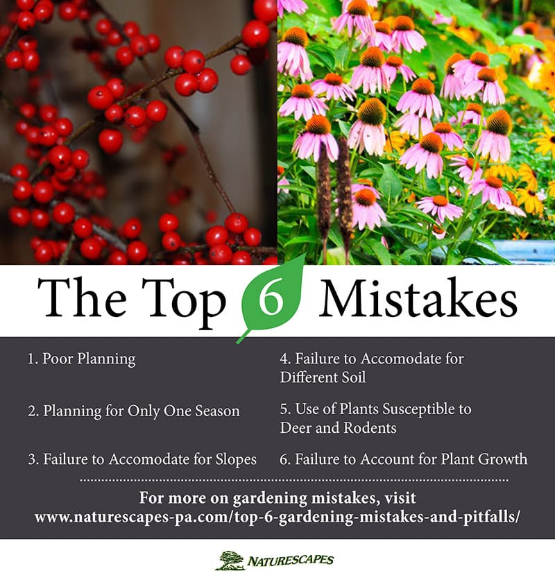 gardening mistakes