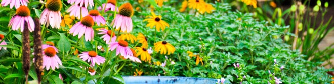 Landscaping Services