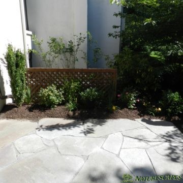 patio with garden